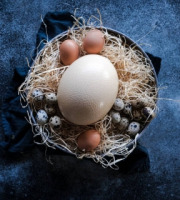 La Ferme Enchantée - Oeuf EXTRA FRAIS d'Autruche 1kg500