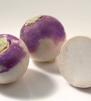 Nature et Saveurs - Ferme Aquaponique et Permacole Astérienne - Navet à collet violet – douceur blanche