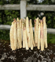 Les Asperges et Framboises du Soissonnais - Asperges second choix
