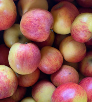 Des Poules et des Vignes à Bourgueil - Pommes Dalistar