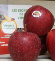 Le Châtaignier - Pommes Gala - Colis 4kg