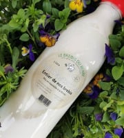 SCEA Brebis du Berry - lait de brebis x12