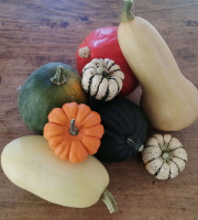 Ferme de Carcouet - Mélange Courges Bio - 5 kg