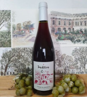 Cave Creuzet - Les Caves aux Caux - AOC Coteaux du Vendômois Rouge "Tradition" 2024