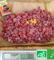 LES JARDINS DE KARINE - Framboise surgelée -10kg
