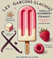 Les Garçons Glaciers - Lot de 6 esquimauve coque chocolat framboise