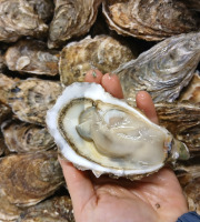 Huitres Damerose - Huîtres naturelles de la Ria d'Etel n°1 - 4 douzaines (50 pièces)