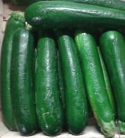 Le Châtaignier - Courgettes BIO - Colis De 5 Kg