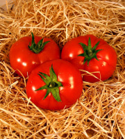 La Ferme de Goas Per - Tomate ronde rouge bio 500gr