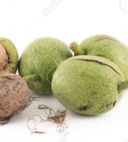 L'OLIVERAIE DU COUDON - NOIX FRAICHE  avec leur brou vert, pour faire du vin de noix ou des confitures 5KG