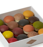 La Glacerie par David Wesmaël - Meilleur Ouvrier de France - Coffret De 16 Bonbons Chocolat Glacés