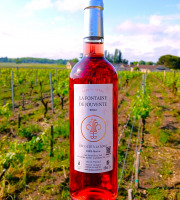 Château Jouvente - Le rosé gastronomique de Jouvente (x3 bouteilles)