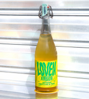 Brasserie L'Indispensable LOVEN Kombucha - Kombucha Citron Menthe & Fire - 3x75cl