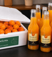 Gobert, l'abricot de 4 générations - [Précommande] 6 kg d'abricots et 8 pétillant abricot 33cl