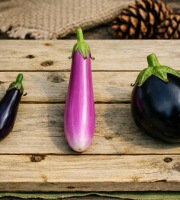 Nature et Saveurs - Ferme Aquaponique et Permacole Astérienne - Aubergines Aquaponiques Jeunes – Japonaise, Finger et/ou Ronde