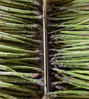 Asperges Guirao - Asperges vertes - 2,5kg - cal 22