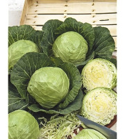 La Ferme de Goas Per - Chou cabus bio - 3 pièce