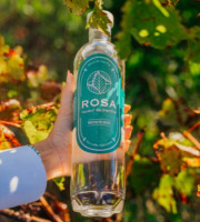 Maison Mounicq - Liqueur de Menthe Bordelaise ROSA