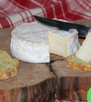 Ferme Dumesnil - Camembert Le Castillon Ail et Fines Herbes x8