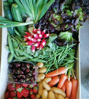Le Châtaignier - Panier Gourmand de l'été