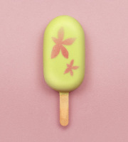 GT Designer Glacier - Esquimau Citron Basilic