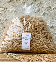 Ferme du Chat Blanc - Pâte Artisanale Torsade - Bio - 5kg