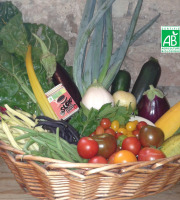 LES JARDINS DE KARINE - Panier modulable / LEGUMES bios d'ETE