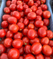 Domaine Reverchon - Tomates roma (idéal conserve, coulis, ketchup maison…)