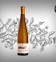Boucherie Moderne - Vin blanc Viognier de Rosine - 75cl