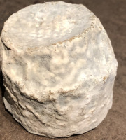 La Guyotte Ferme Bressane - Cabrion de la Guyotte par 12