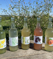 Ferme Sinsac - Assortiment de Pétillants (lot de 2 x 3 saveurs) sans alcool