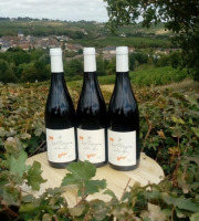 Domaine Doudeau-Leger - Vent d'Ange - Vin de Pays du Val de Loire Rouge IGP 2022 - 3 Bouteilles