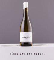 Domaine Sauvagine - Sauvagine Blanc 2024 x1 - Vin bio & cépages résistants