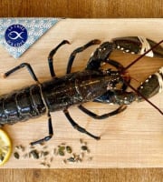 La Criée d'à Côté - Homard Bleu Européen Vivant - 1,2 Kg