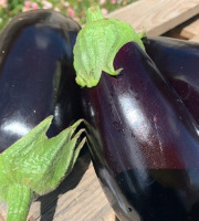 ChâteauFer - Aubergines 1kg