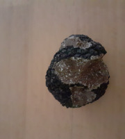 Les Vergers de la Vautée - Truffe de Bourgogne fraîche