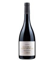Vignobles Feray - CHINON GAUDEAMUS x6
