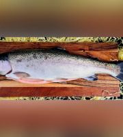 Eauzons ! - Truite Arc-en-ciel Entière Eviscérée