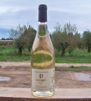 Domaine Pons Gralet - Vin Blanc IGP - Cotes Catalanes 2023 Bio x6