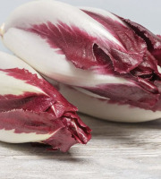 L'OLIVERAIE DU COUDON - ENDIVE ROUGE 2,5 KG