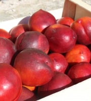 Domaine Reverchon - Nectarine Jaune 2Kg