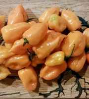 HERBA HUMANA - Habanero Orange - 300g