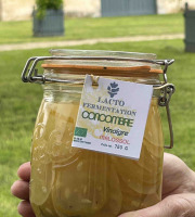 ChâteauFer - Lacto vinaigre de concombre malossol   750g