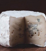 Maréchal Fraicheur - Petit bleu d’Auvergne BIO