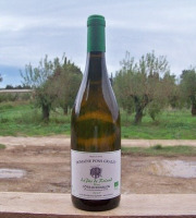 Domaine Pons Gralet - Vin Blanc - AOP Cotes du Roussillon 2023 Bio x24