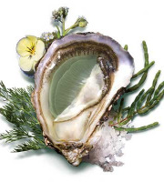 Les Huîtres Courdavault Alain & Fils - Huîtres fines de claires vertes Label rouge calibre 1 : 4 dz