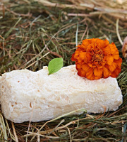 Chèvrerie de Ker Anna - Brique fraîche