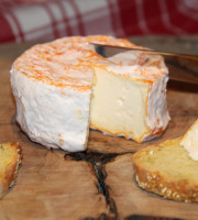 Ferme Dumesnil - P'tit Havrais x8