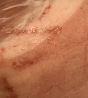 Aymonier Viandes - Couenne de porc pour animaux