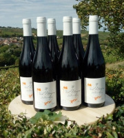 Domaine Doudeau-Leger - Vent d'Ange - Vin de Pays du Val de Loire Rouge IGP 2022 - 6 Bouteilles